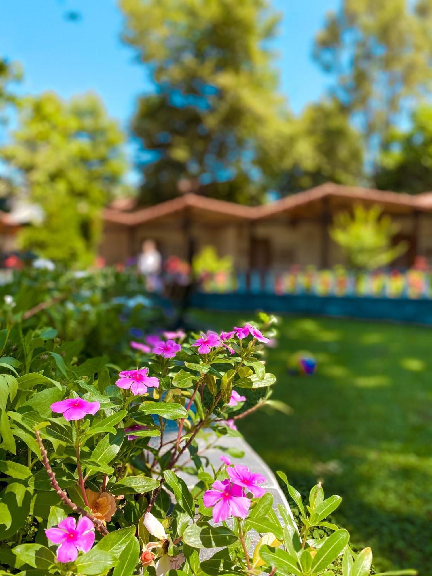 Likya Adrasan Hotel Buitenkant foto