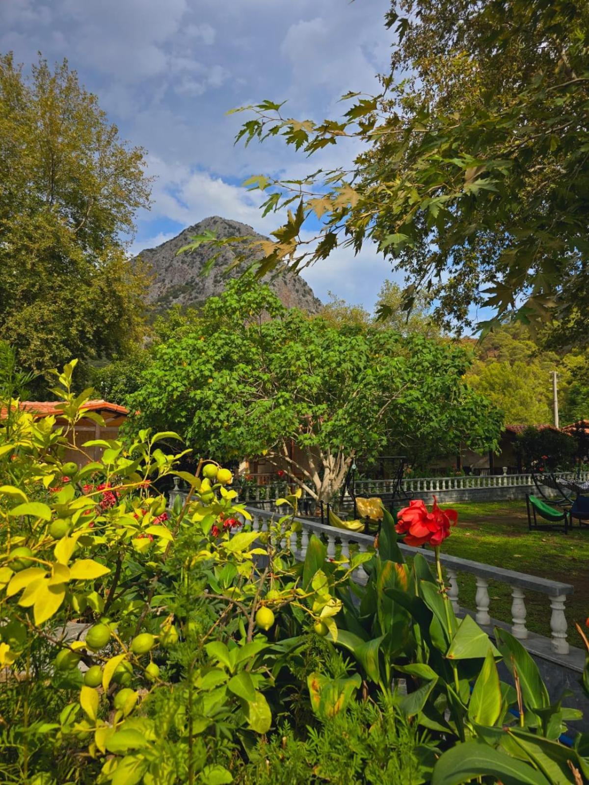 Likya Adrasan Hotel Buitenkant foto