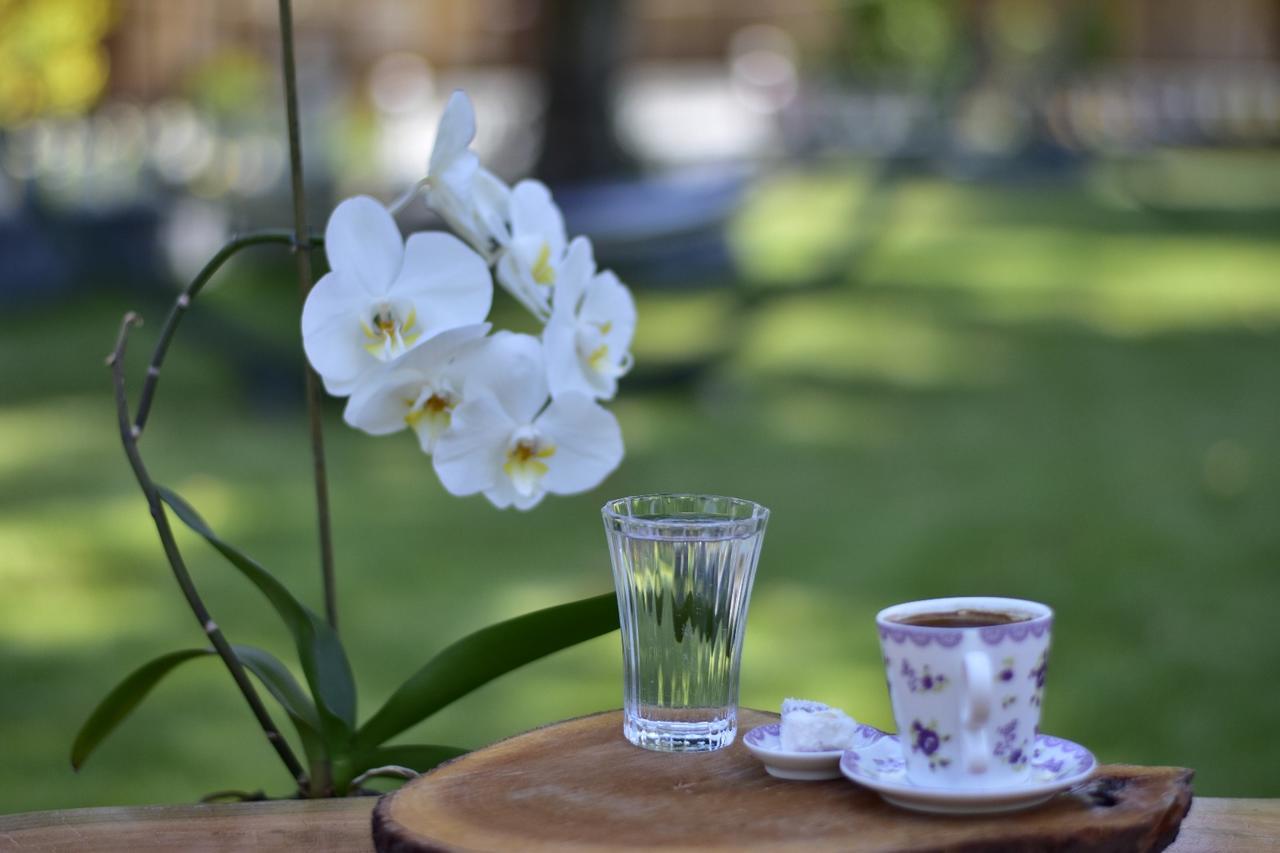 Likya Adrasan Hotel Buitenkant foto